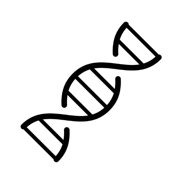 DNA Sequencing Data Analysis